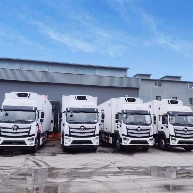 铜鼓县新龙县进仓物流：多元专线直达运输探秘